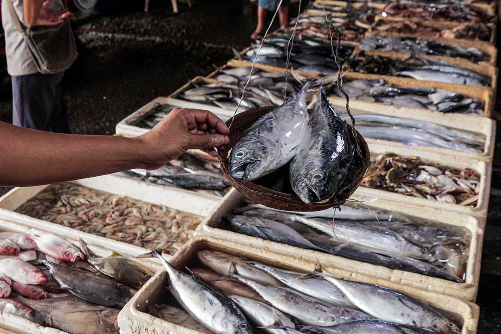  KKP Memperkirakan Permintaan Ikan Pada Maret dan April 2024 Mencapai 2,46 Juta Ton