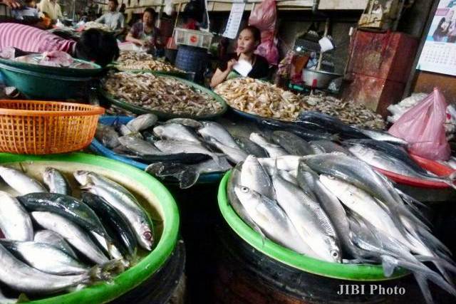  Permintaan Ikan Selama Ramadan - Lebaran Diprediksi Capai 2,46 Juta Ton
