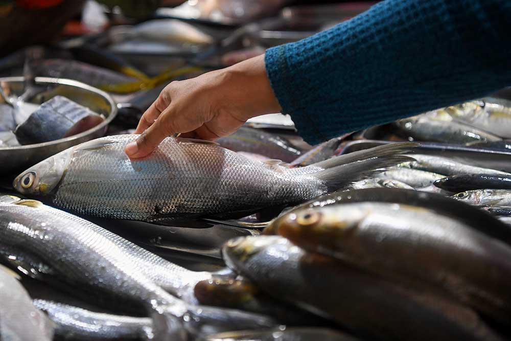  KPP Pastikan Kebutuhan Ikan Selama Bulan Ramadan Tercukupi