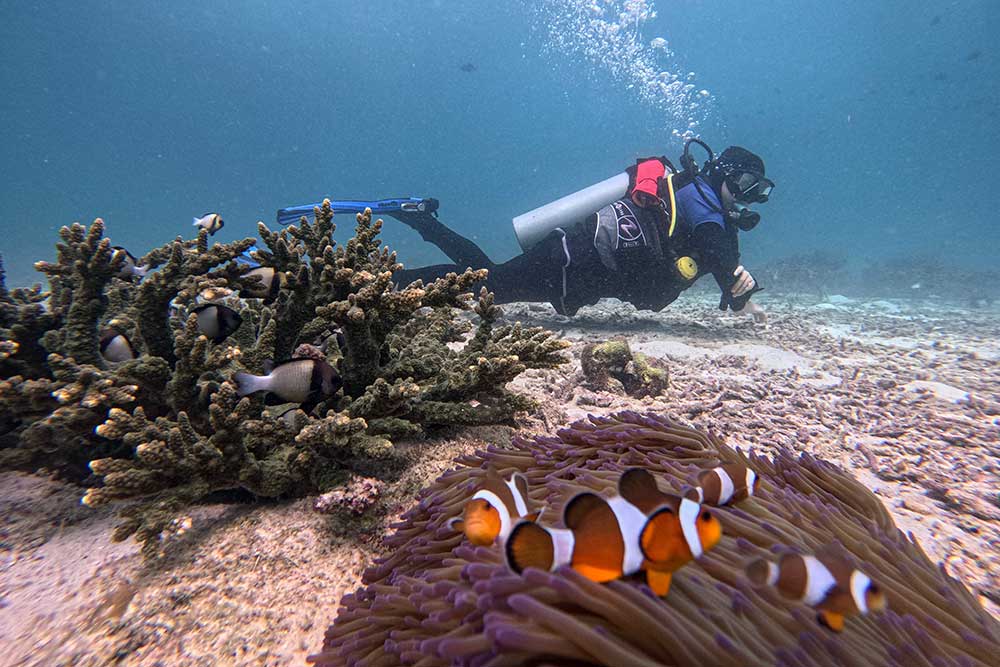  Wisata Selam (diving) di Pulau Weh Sabang Menjadi Destinasi Unggualan