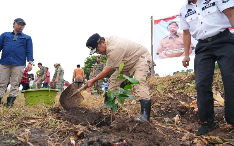  Ingin Buat Industri Nangka Madu, Sulsel Pacu Penanaman 2 Juta Pohon Tahun ini