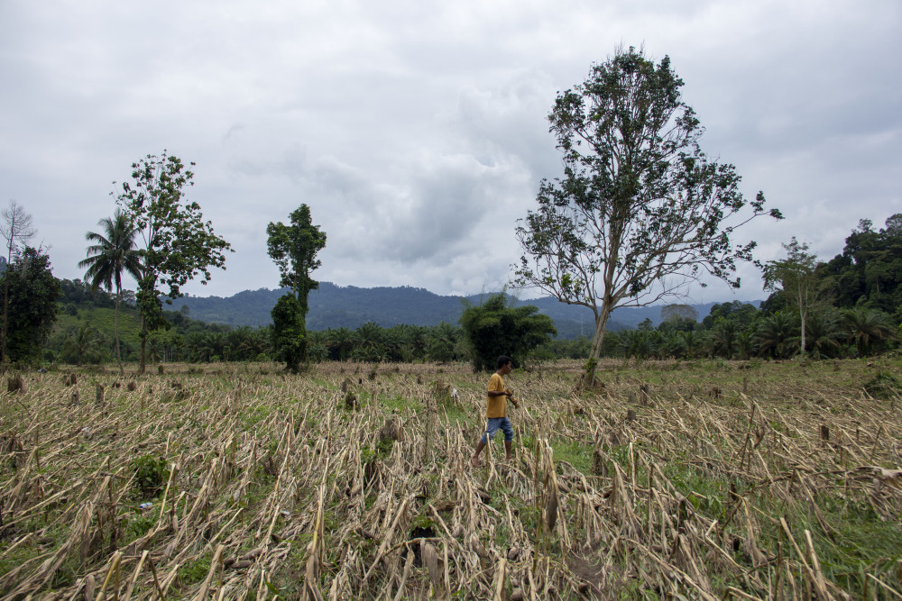  Sumatra Barat Tetapkan Tanggap Darurat Bencana, Ini Data Kerusakan dan Korban Jiwa