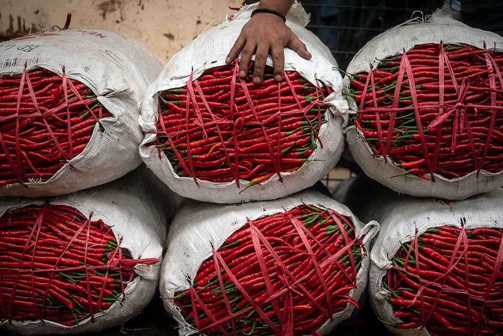  Harga Cabai Merah Keriting di Jakarta Melonjak Hingga Rp100.000 Per Kilogram