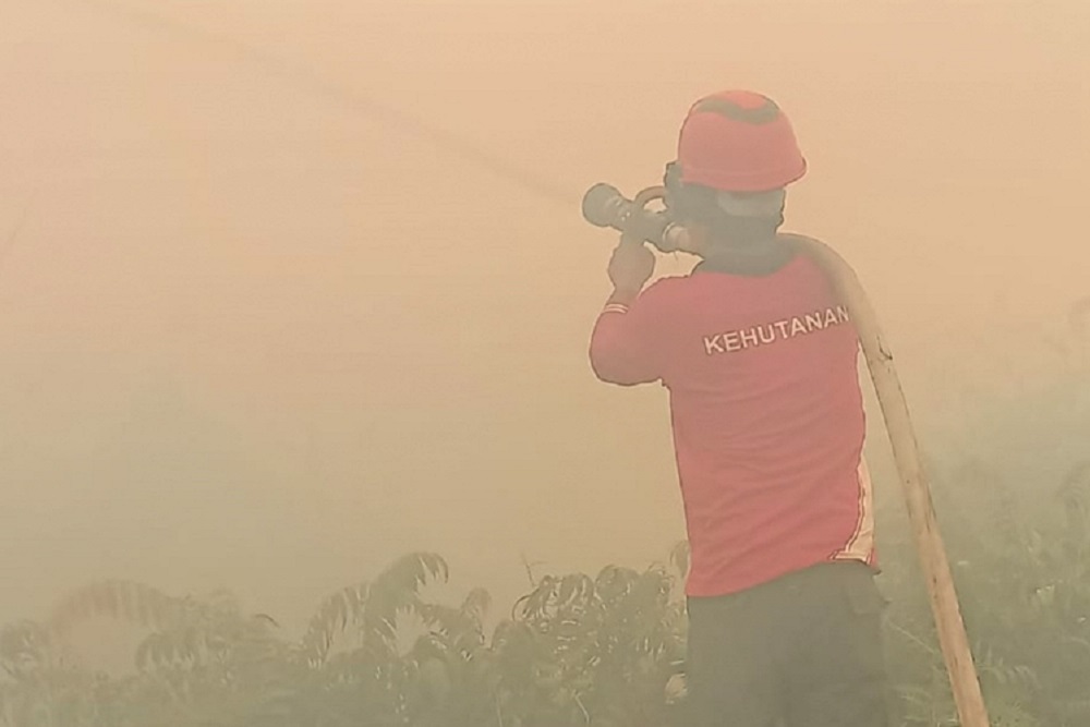  Waspada Karhutla, 2 Kabupaten Kota di Riau Tetapkan Status Siaga Darurat