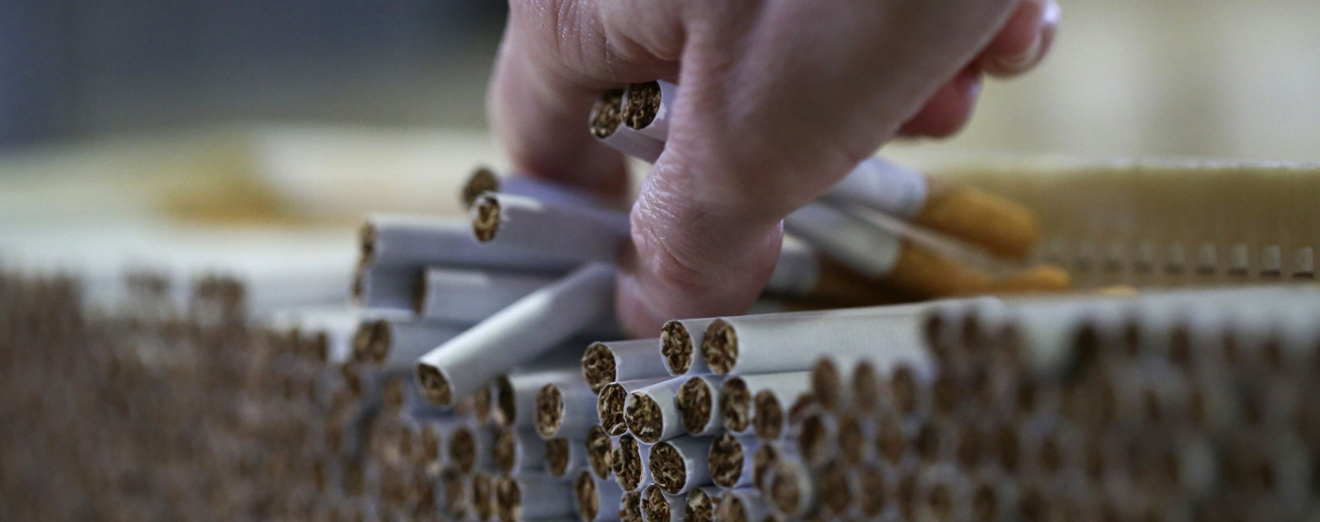  Pangsa Pasar Ekspor Tembakau Kelas Premium Diperluas