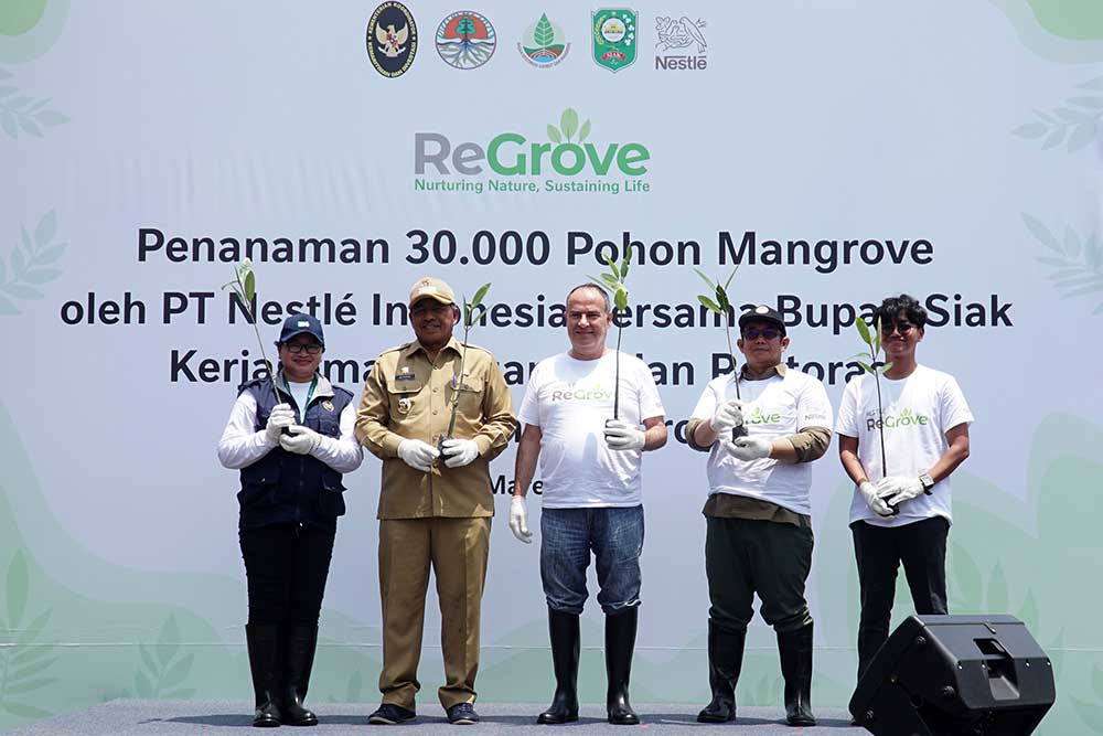  Nestle Indonesia Berkolaborasi Dengan BRGM Dalam Pelaksanaan Rehabilitasi Mangrove di Kabupaten Siak