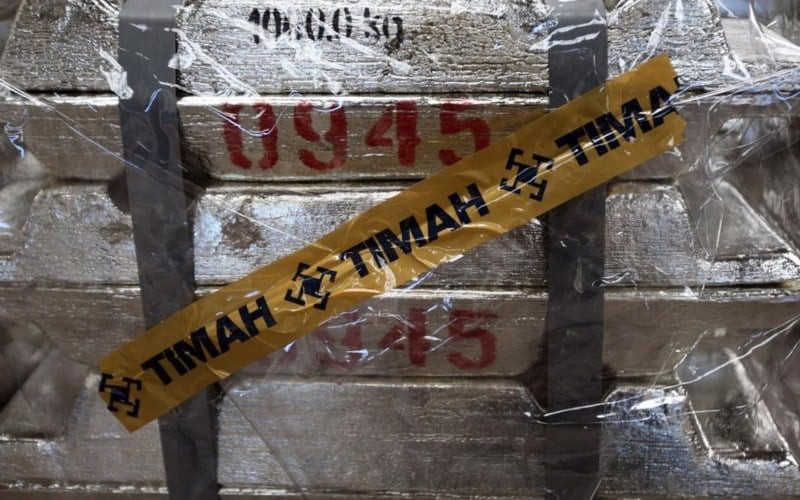  TINS Performance Recovery Post Losses and Corruption Scandal