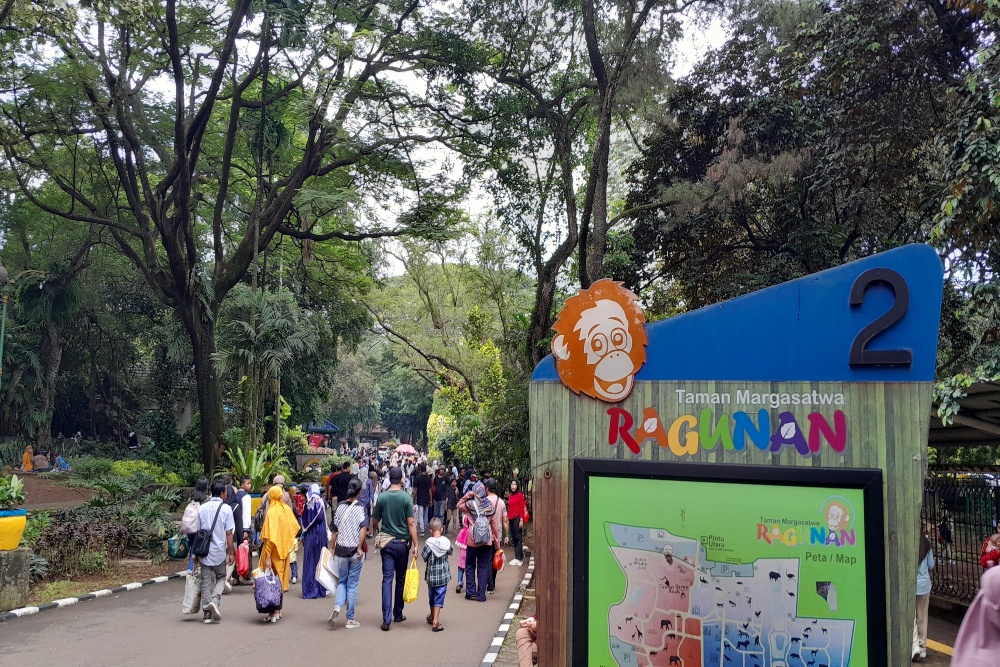  Jangan Bingung, Ini Akses Pintu Masuk Taman Margasatwa Ragunan