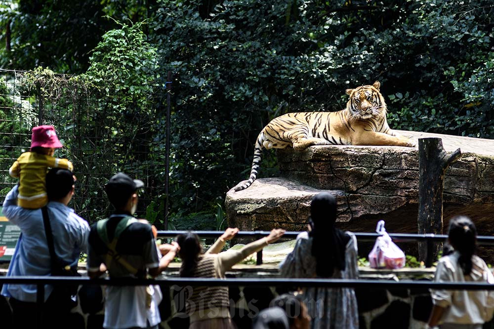  Keramaian Wisata Bandung Zoo Libur Lebaran