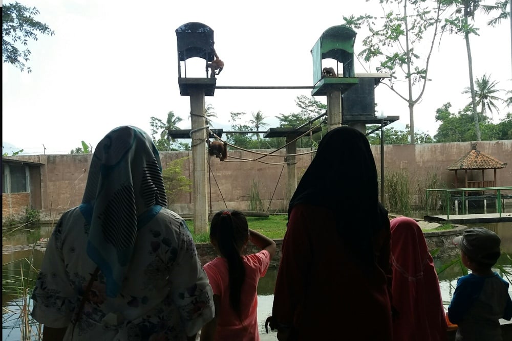 Pengunjung bertamasya di Taman Satwa Cikembulan di Kabupaten Garut, Jawa Barat saat momen Libur Lebaran 2024. JIBI/Haqim Baihaqi