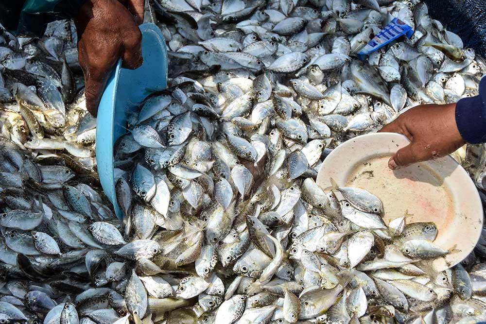  Implementasi Program Ekonomi Biru Bagi Nelayan