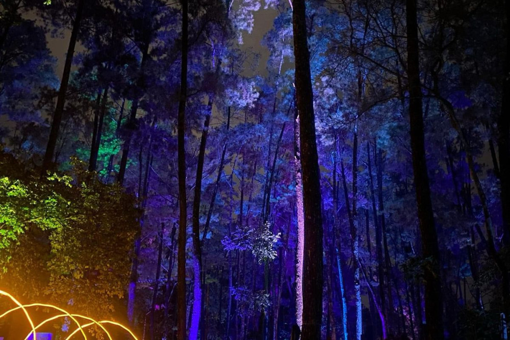  Luma Roots Lightscape, Wisata Negeri Dongeng Hutan Cahaya di Punti Kayu Palembang