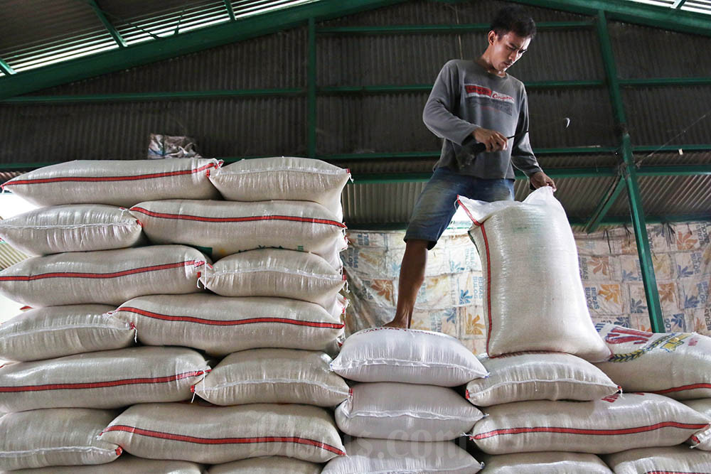  Beras Mahal Meski Harga Gabah Anjlok, Ternyata Ini Biang Keroknya