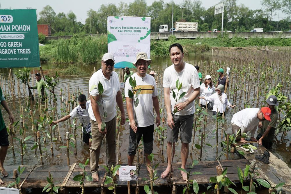  Wujudkan Komitmen Keberlanjutan, IFG Life Tanam Mangrove di PIK Bersama AAJI