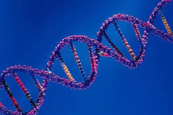  Pentingnya Tes Genetik Cegah Risiko Sejak Dini Masalah Kesehatan