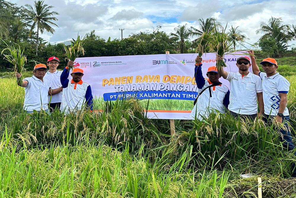  Demplot Pupuk Kaltim Tingkatkan Produksi Padi Bone Hingga 100 Persen