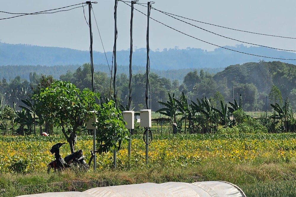  2.494 Petani di Nganjuk Akses Listrik PLN untuk Pertanian