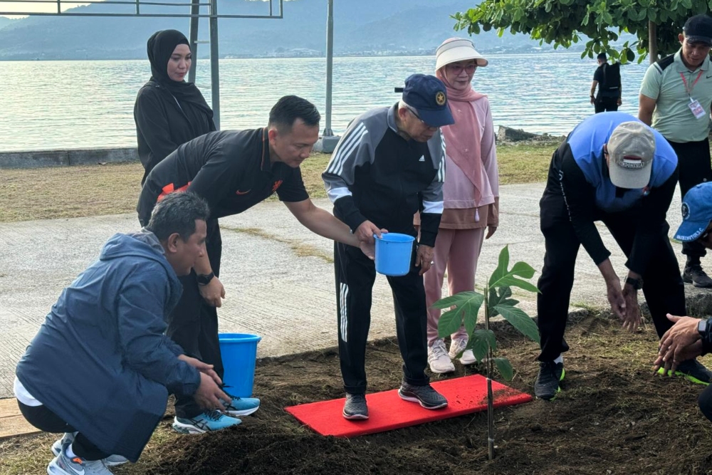  Momen Wapres Ma'ruf Amin Tanam Pohon Sukun saat Kunker ke Mamuju