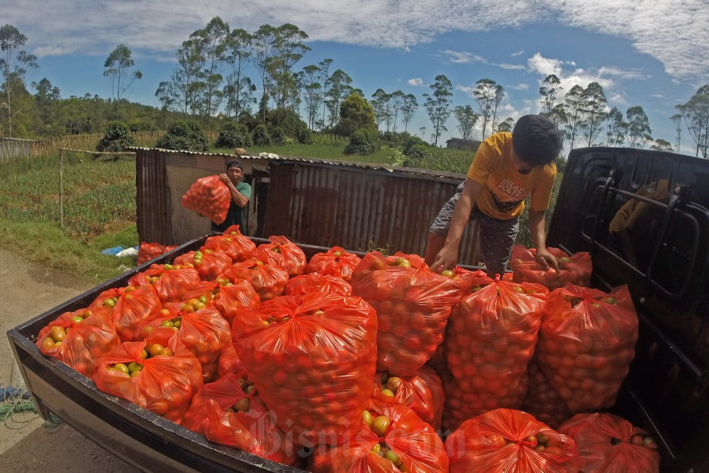  Nilai Tukar Petani Pada April Trurun 1,89%