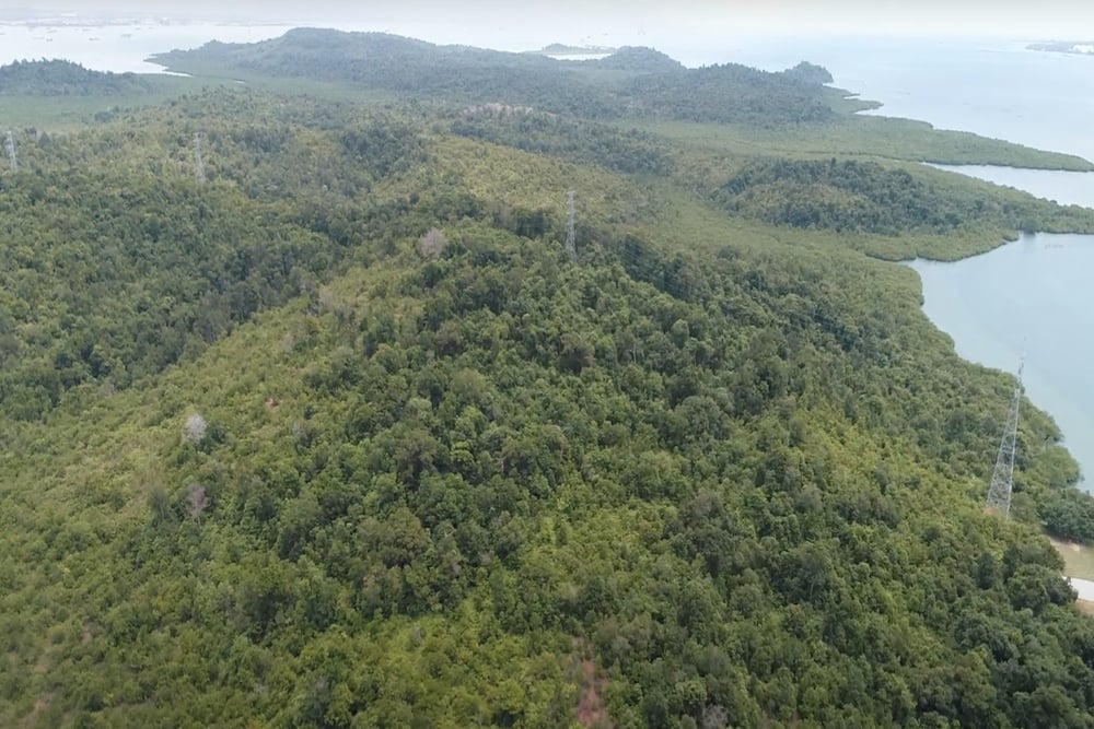  Pulau Tanjung Sauh di Batam Diresmikan Jadi KEK, Berikut Profil Singkatnya