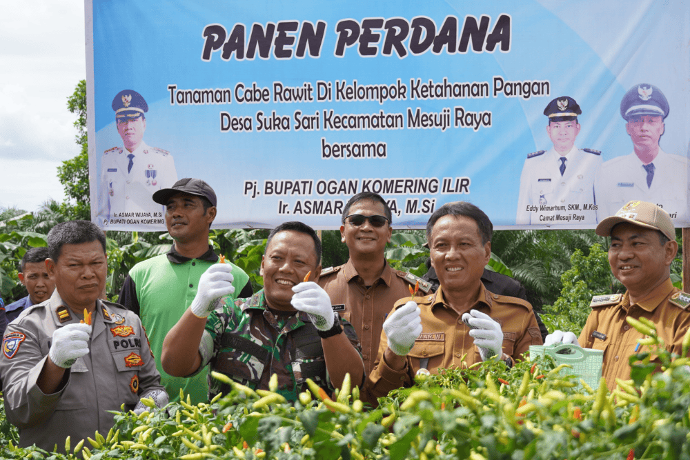  Panen Raya Cabai, Pj Bupati OKI: Berhasil Tekan Angka Inflasi