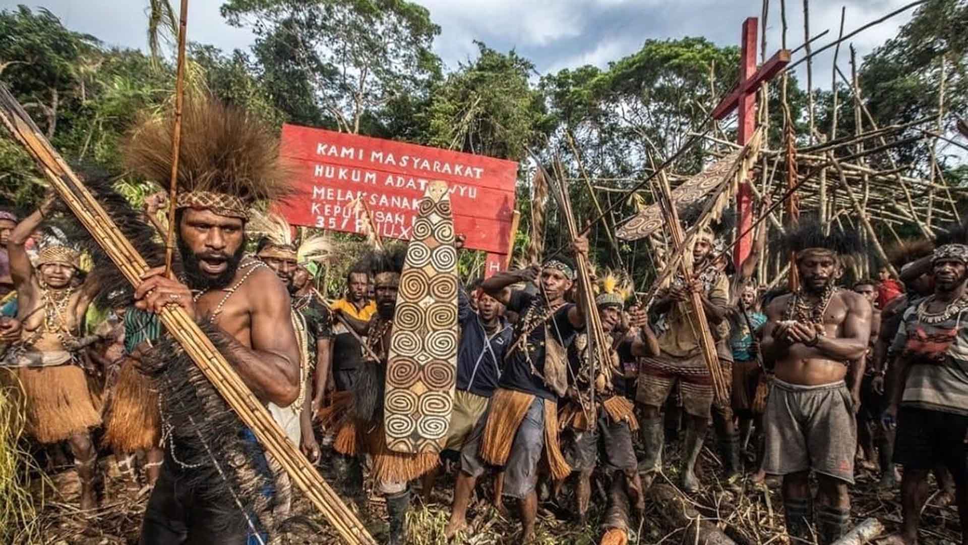  Viral "All Eyes on Papua" dan Karut-marut Tata Kelola Sawit RI