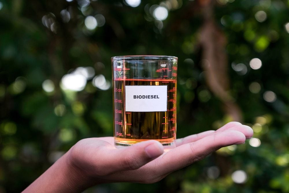  Mengukur Dampak Mandatori Biodiesel B40 Saat Produksi RI Sawit Stagnan