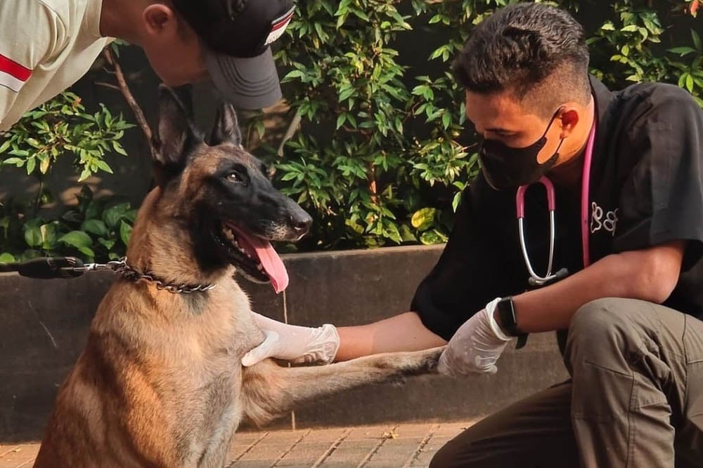  9 Fakta Terbaru Satpam Plaza Indonesia Pukul Anjing, Banjir Plot Twist!