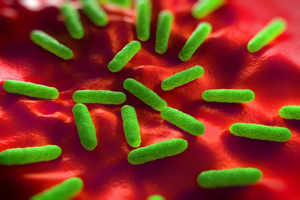  Heboh Mentimun di AS Mengandung Bakteri Salmonella, Ini Bahayanya dan Cara Mencegahnya