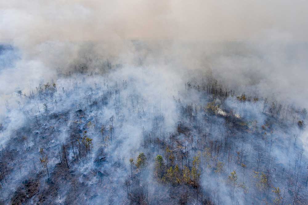  Ilmuwan Temukan Virus Raksasa di Greenland, Diklaim Berdampak Perbaiki Perubahan Iklim