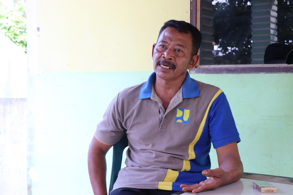  Jelajah UMKM:Parlan Sibarani Sukses Beternak Sapi Sekaligus Bertani Padi Organik