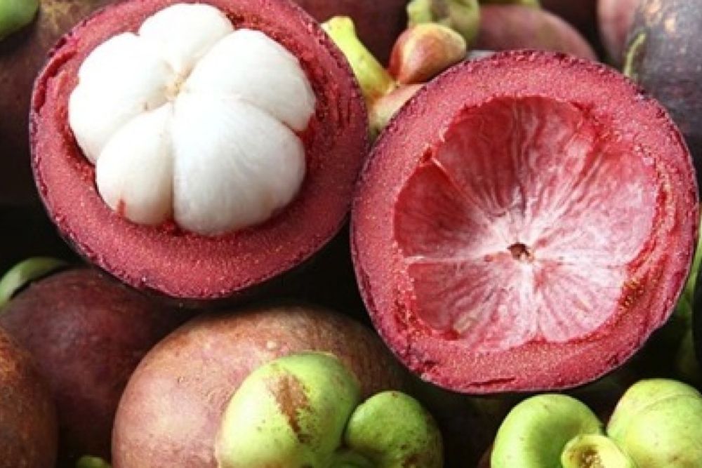  Manfaat Manggis untuk Ibu Hamil, Bisa Atasi Sembelit dan Obesitas