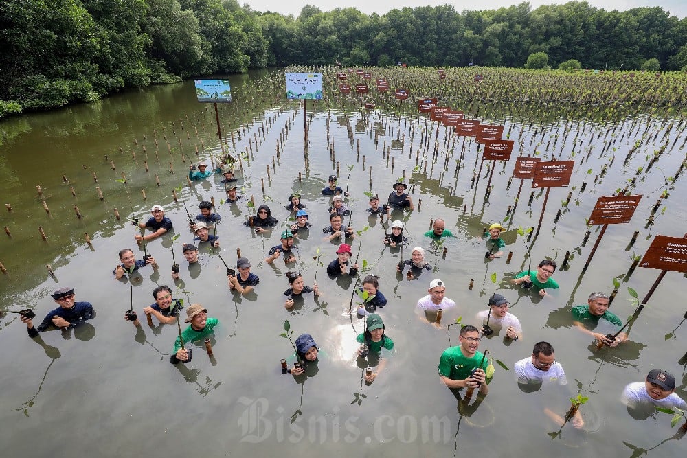  Dorong Pelestarian Habitat Mangrove