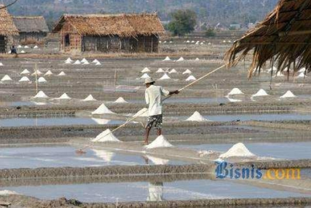  Petani Garam di Cirebon Nantikan Produksi Melimpah Tahun Ini