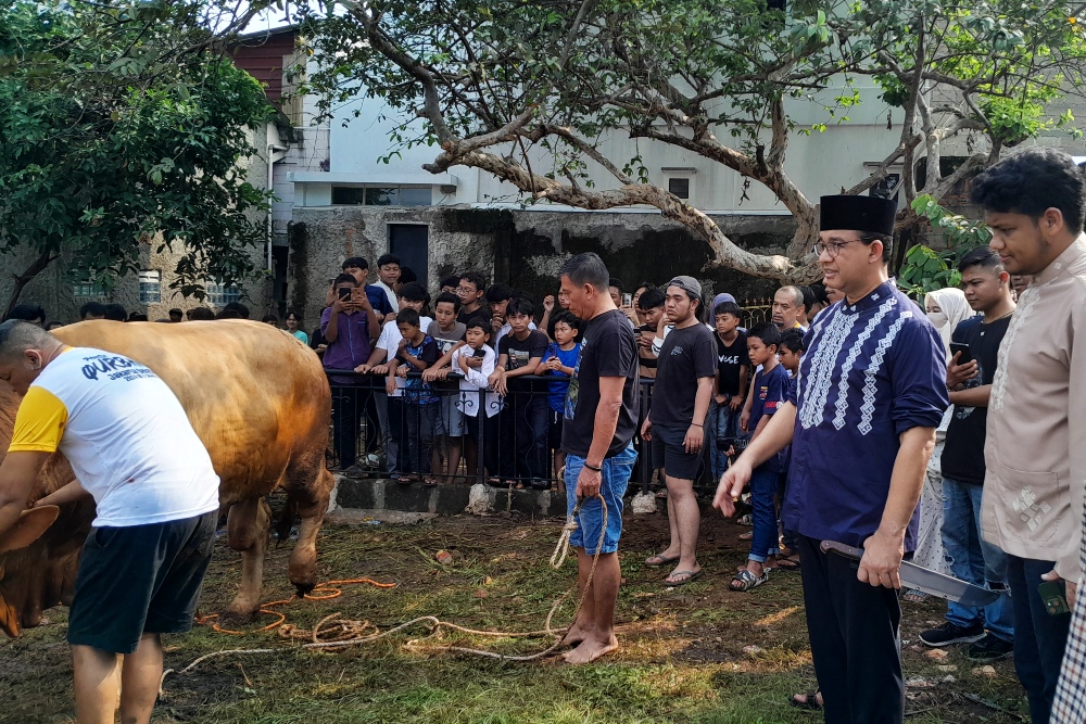  Anies Baswedan Serahkan Sapi Kurban di Jakarta, Yogyakarta, hingga Kuningan