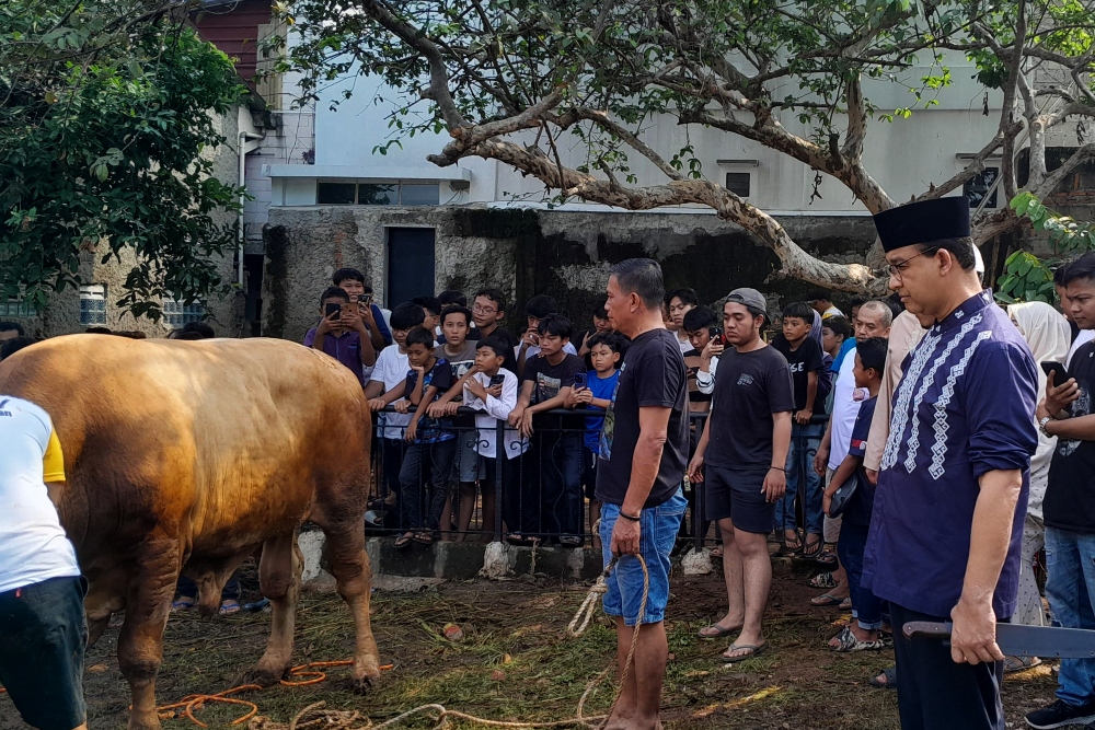  Momen Anies Baswedan Sembelih Sapi Kurban Sendiri di Lebak Bulus