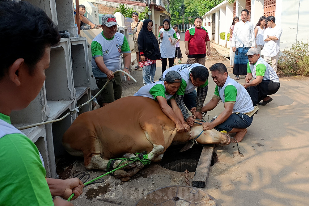  Indofood Salurkan Hewan Kurban