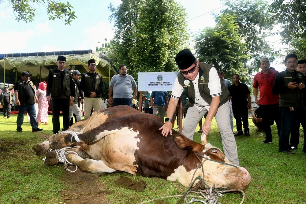  Lagi, Pj Gubernur Sumut Berkurban Seekor Limosin untuk Warga Medan