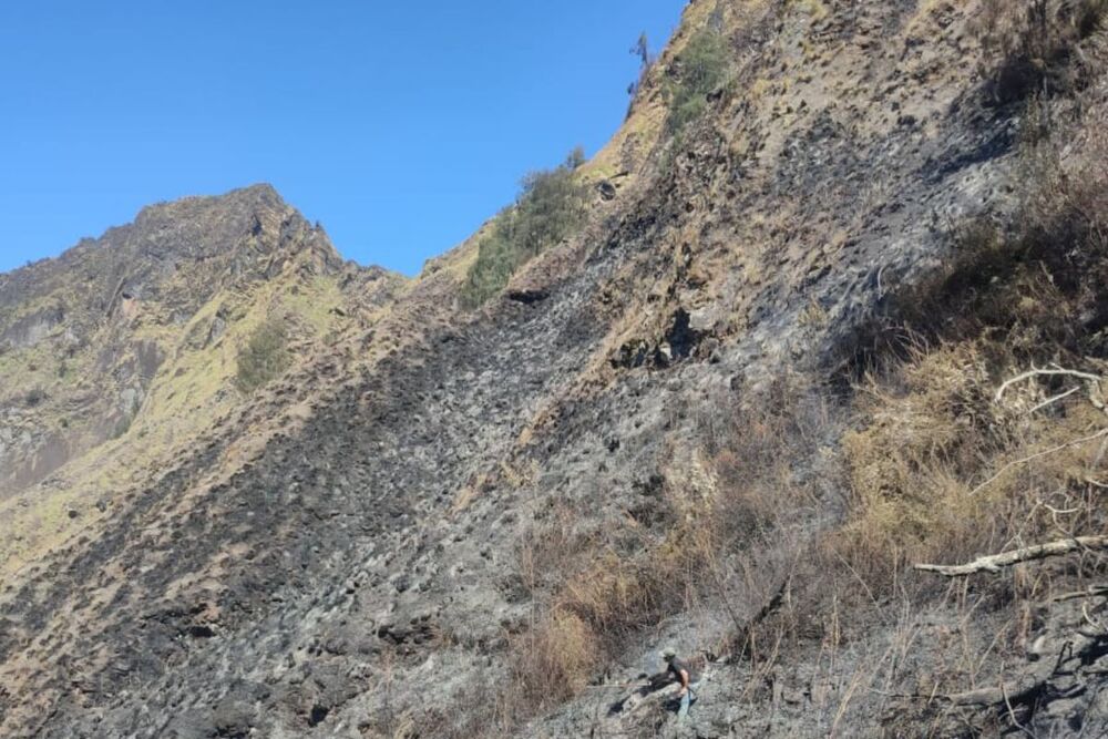  Kebakaran Lahan Gunung Rinjani, Ini Pemicunya