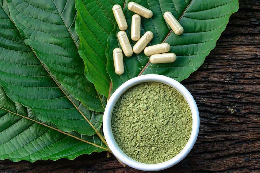  Mengenal Daun Kratom, 'Narkoba' yang Dibahas Jokowi: Asal dan Daerah Penghasil