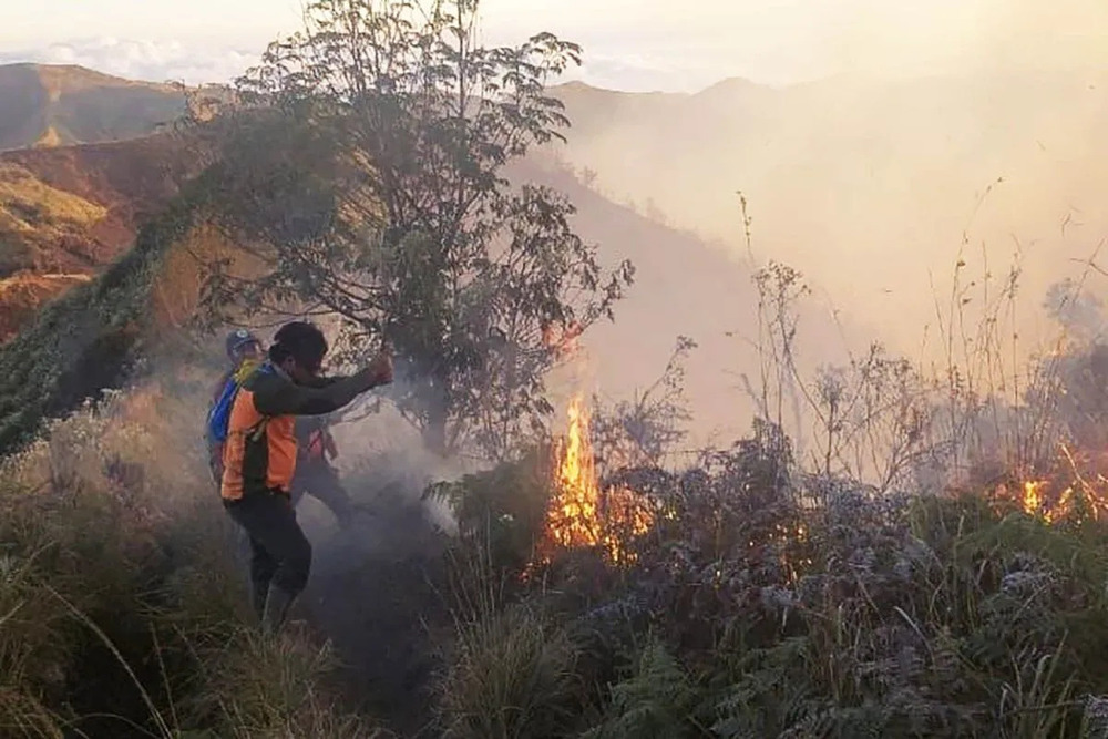  Dampak Kebakaran Taman Nasional Bromo, Begini Perkembangannya