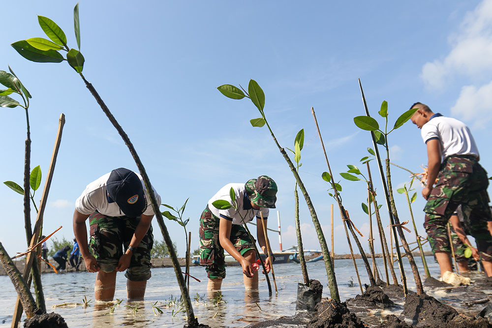  Siswa Kodiklatal Wira Jala Yudha Tanam Mangrove