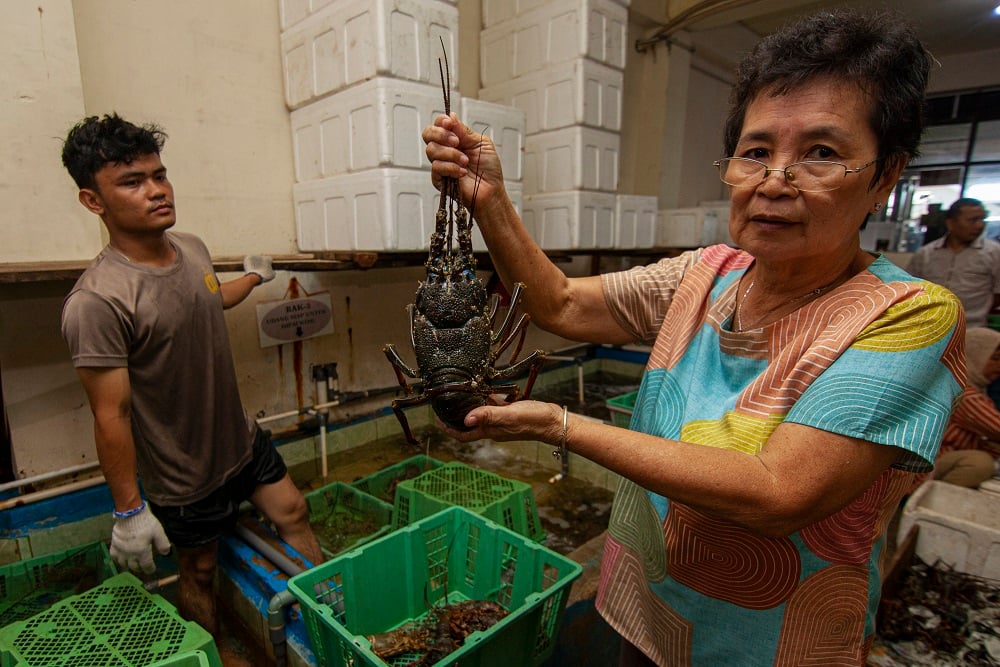  Lobster Air Tawar Kini Jadi Komoditas Unggulan di Waduk Jatigede