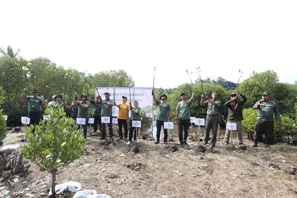  Peringati Bulan Lingkungan, Pertamina Tanam 2.000 Mangrove