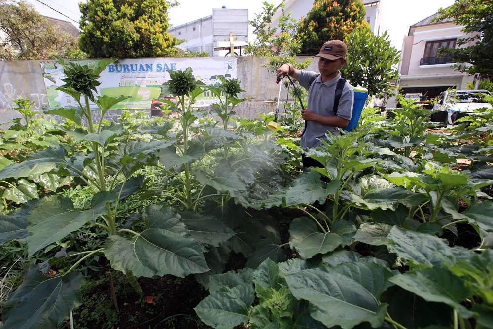  Jelajah Ekonomi Hijau: Bio Soltamax Tawarkan Solusi untuk Kemakmuran Petani