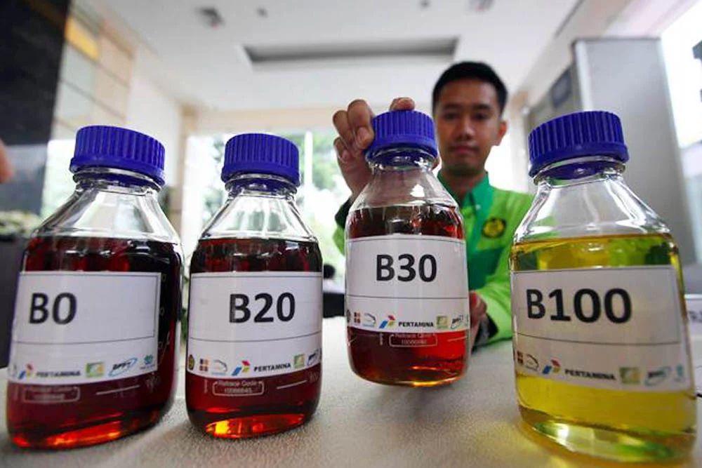  Mandatori Biodiesel B40 Ditarget Jalan di Awal Pemerintahan Prabowo