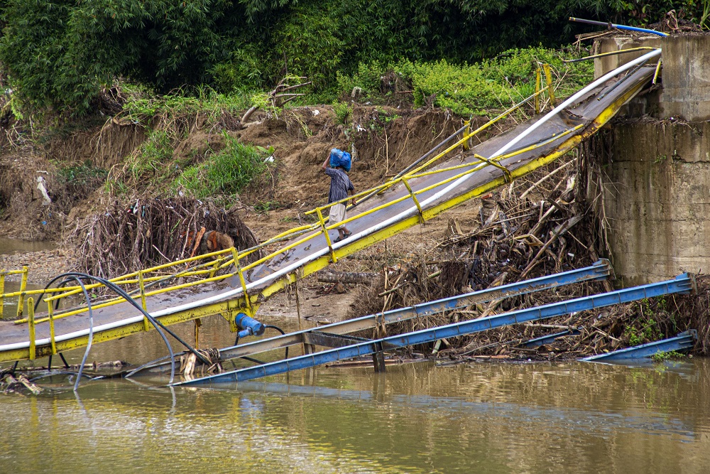  BRIN: Penghijauan dan Rehabilitasi Hutan Kunci Mitigasi Longsor di Sumbar