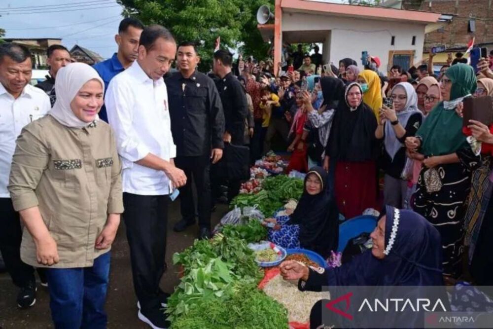  Pedagang Sayur Bertemu Jokowi di Pasar Bulukumba, Begini Kesannya