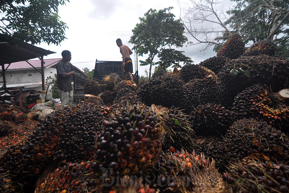  Kemendag Tetapkan Harga Referensi Komoditas Minyak Kelapa Sawit