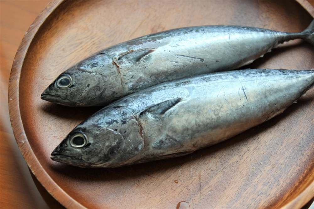 Apakah Tuna Kalengan Sehat? Berikut 9 Manfaat dan Risikonya/ekatalog LKPP.go.id